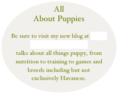 All About Puppies
Be sure to visit my new blog at http://MyPuppysWorld.com
talks about all things puppy, from nutrition to training to games and breeds including but not exclusively Havanese.